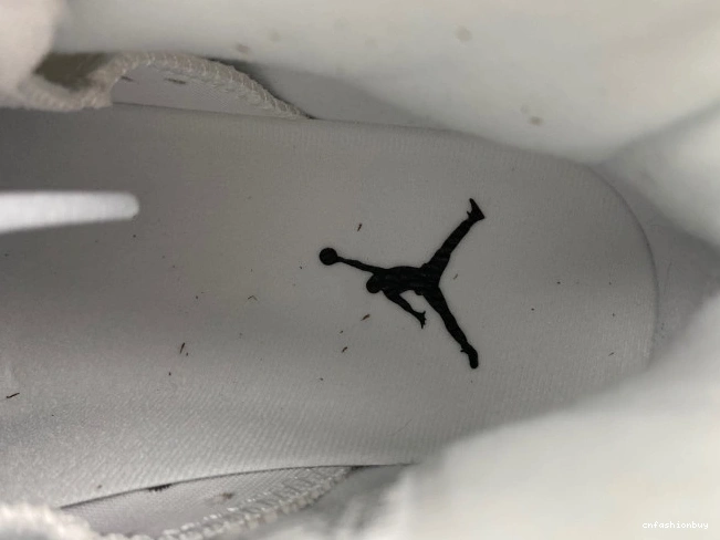 Air 6 Reverse Jordan CT8529-112 Oreo 1025